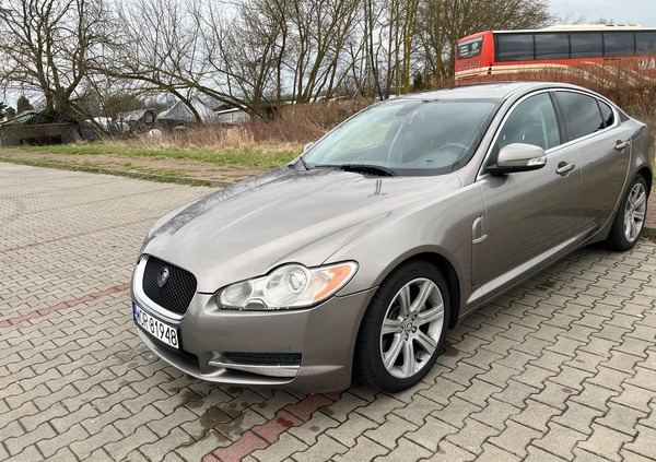 Jaguar XF cena 31900 przebieg: 196902, rok produkcji 2008 z Jarocin małe 277